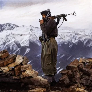 لە قەندیلی سەربەرزەوه