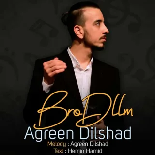 Bro Dllm