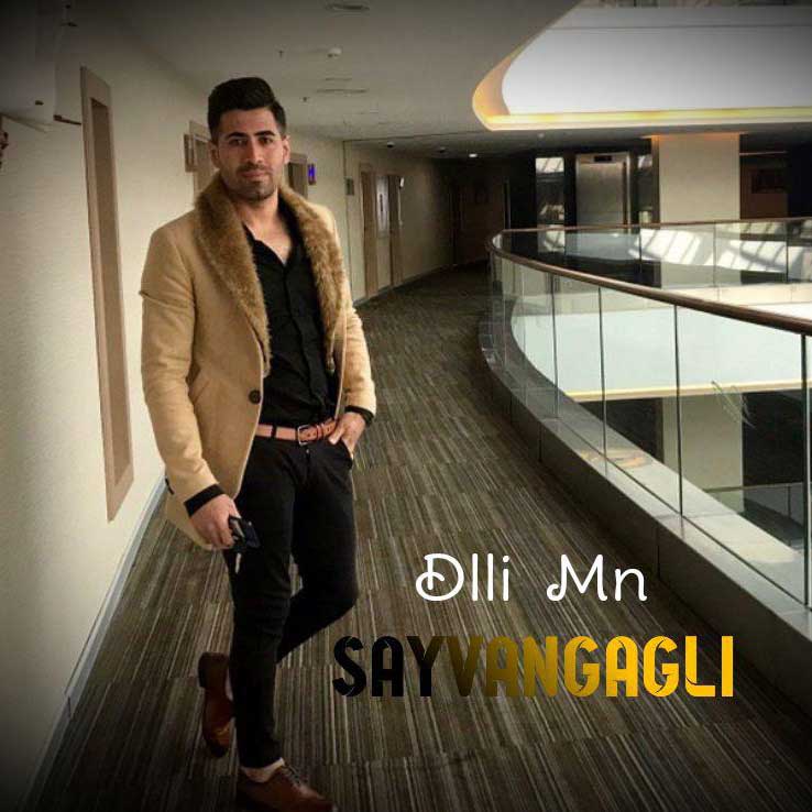 Dlli Mn